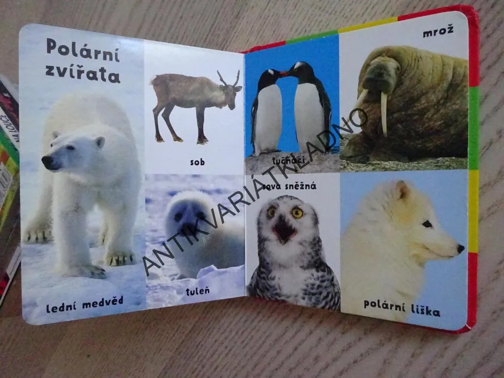PRVNÍCH 100 ZVÍŘAT, ZVÍŘATA, **an
