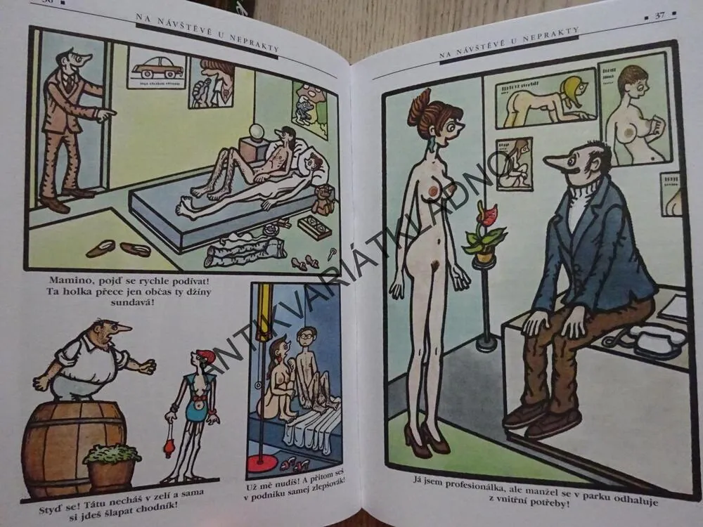 NA NÁVŠTĚVĚ U NEPRAKTY, **an