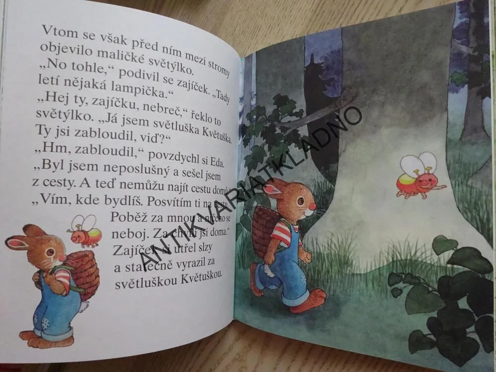 ZAJÍČEK OUŠKO, NEJPILNĚJŠÍ ŠKOLÁČEK, **an