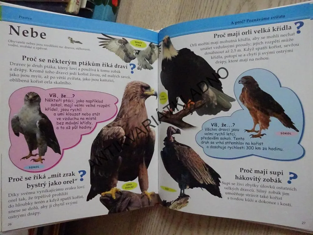 MOJE PRVNÍ KNIHA A PROČ?, POZNÁVÁME ZVÍŘATA, **an