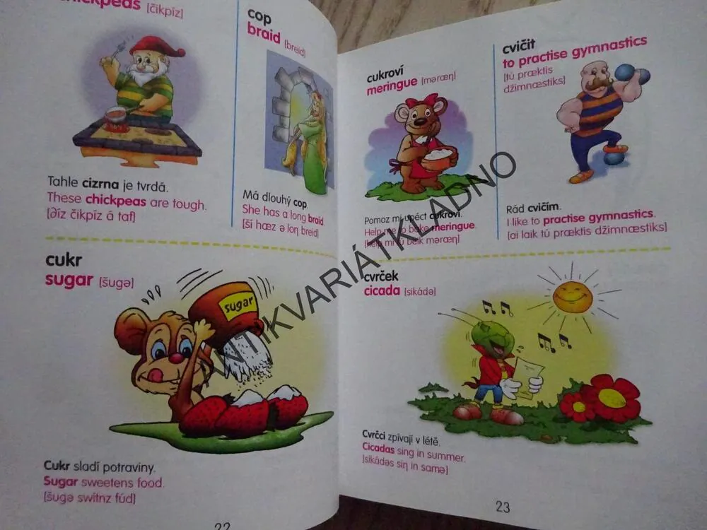 DĚTSKÝ OBRÁZKOVÝ SLOVNÍK, ČESKO-ANGLICKÝ, **an