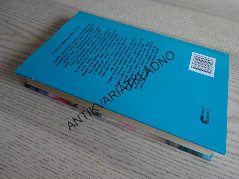 LÁSKA A LEŽ, PAMELA MORSI, **an