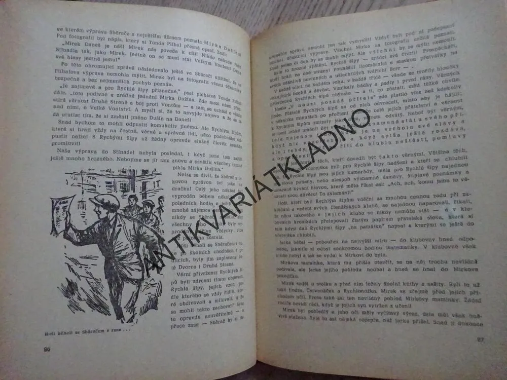 STÍNADLA SE BOUŘÍ, JAROSLAV FOGLAR, RYCHLÉ ŠÍPY, 1970, **an