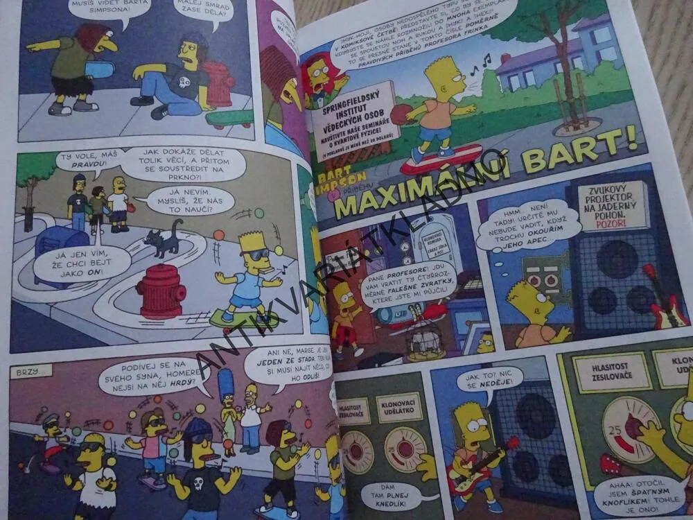 VELKÁ KNIHA BARTA SIMPSONA, SIMPSONOVI, **an