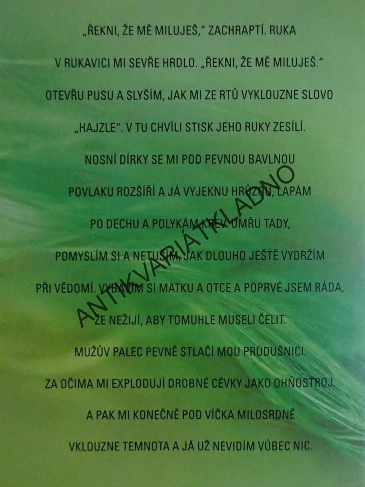 POVÍDEJ, CO VIDÍŠ, JOY FIELDINGOVÁ, **an