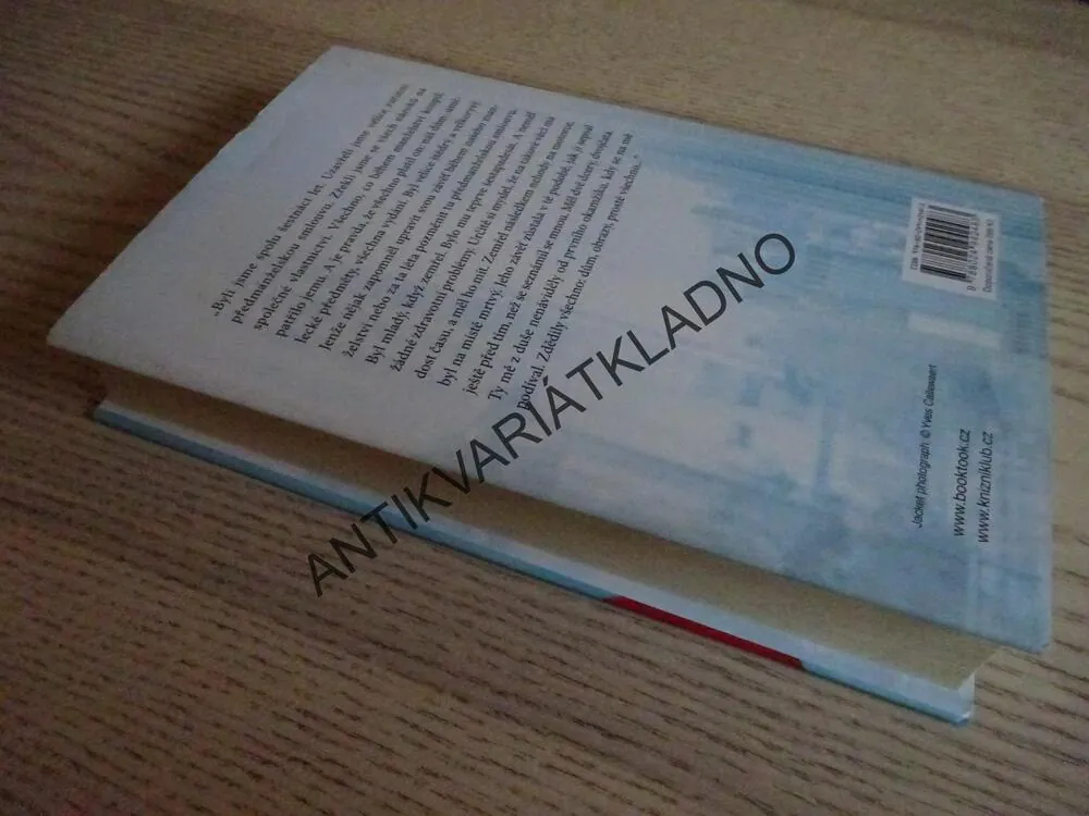 V NEMILOSTI, DANIELLE STEEL, **an
