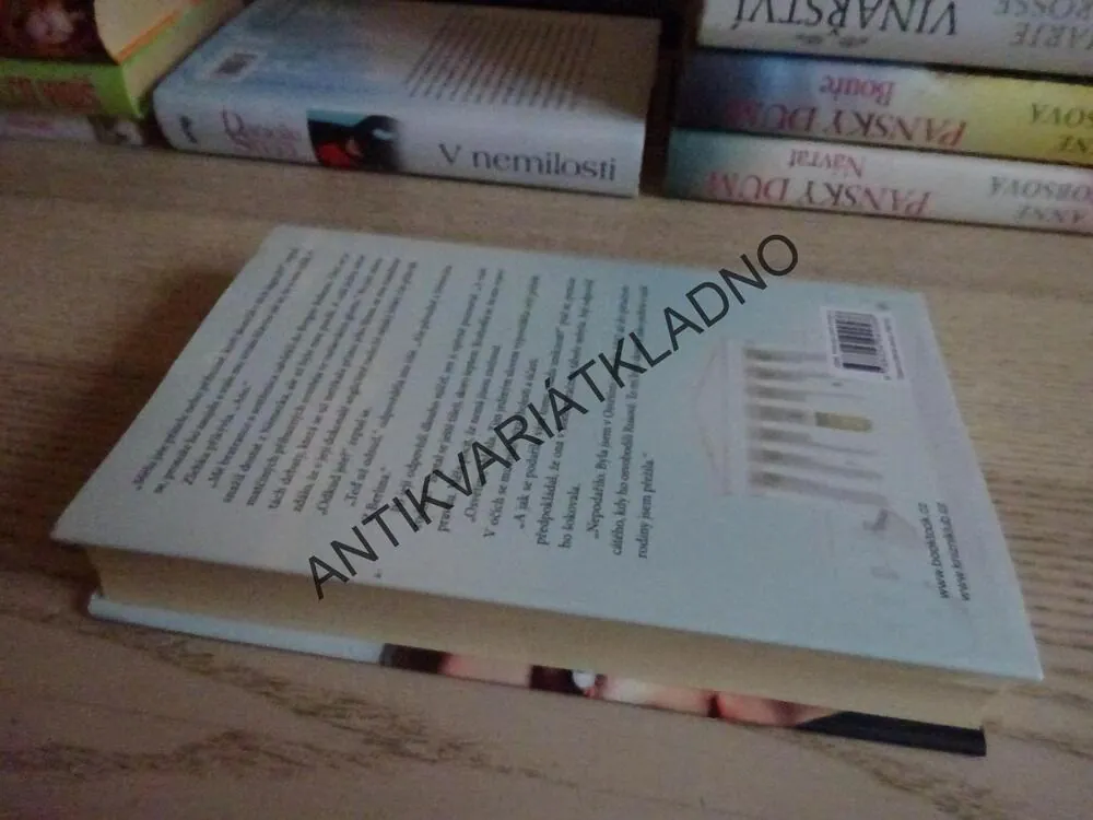 ČAS ZMĚN, DANIELLE STEEL, **an