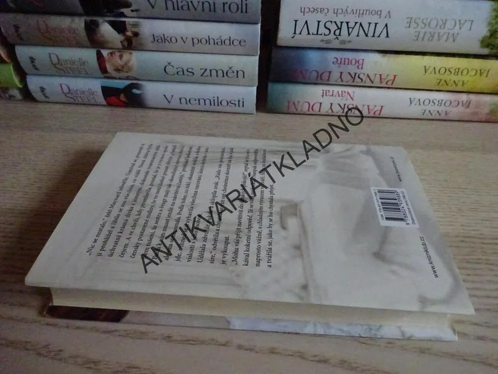VÉVODKYNĚ, DANIELLE STEEL, **an