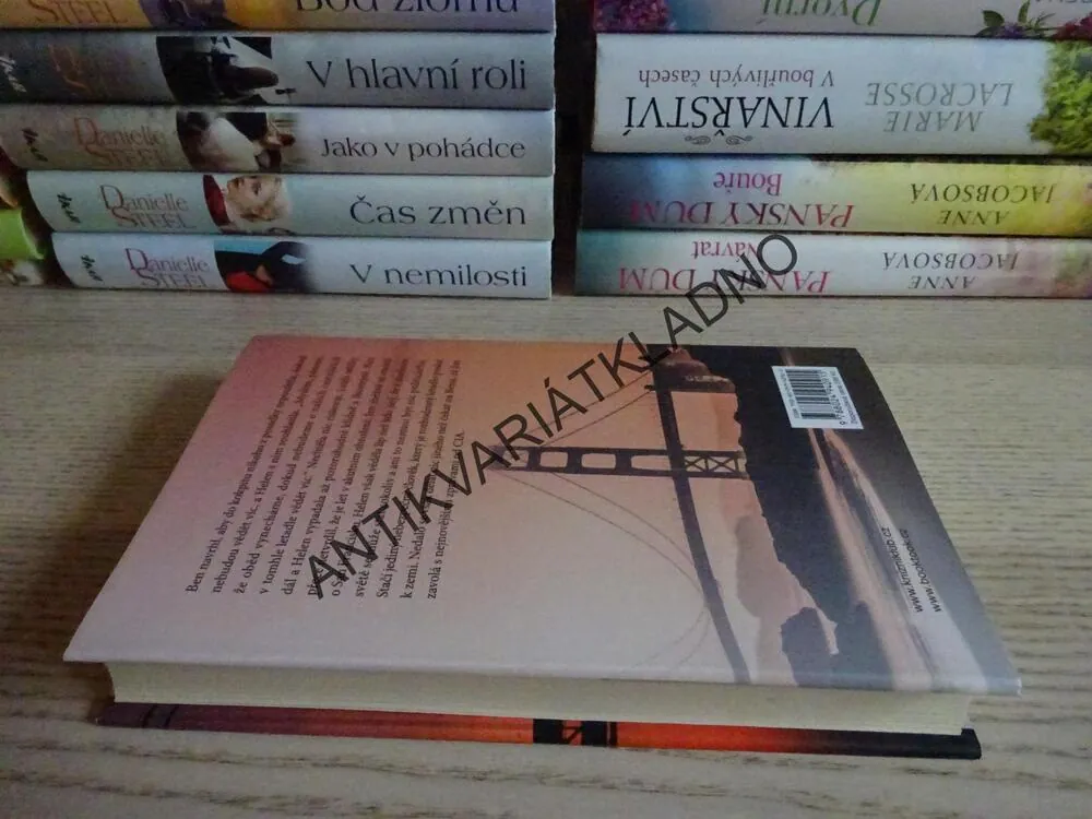 HRDINOVÉ, DANIELLE STEEL, **an