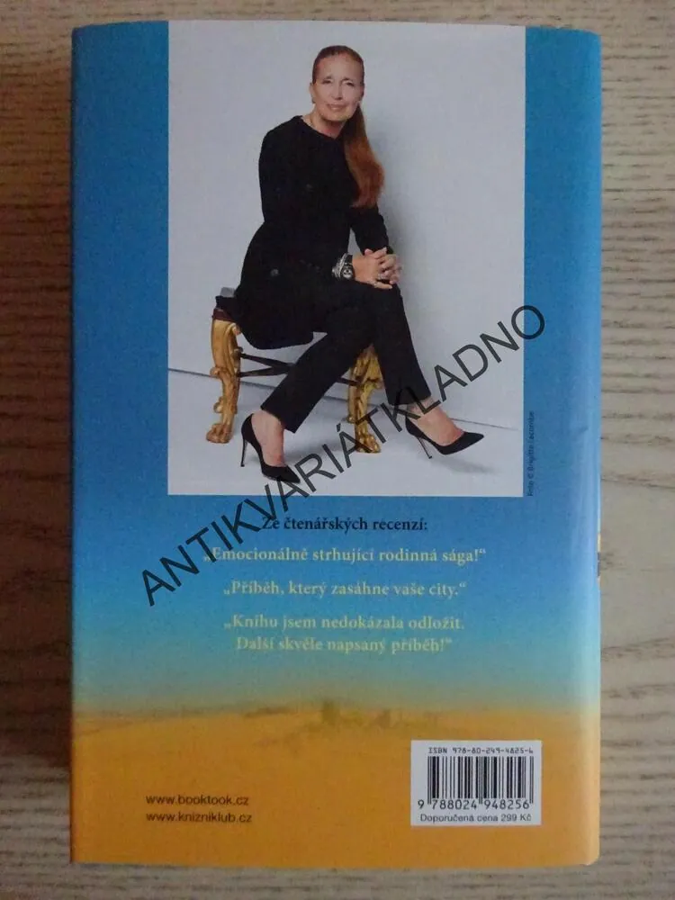 ŠTĚSTÍ V NEŠTĚSTÍ, DANIELLE STEEL, **an