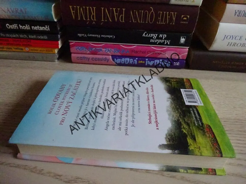 DŮM HEDVÁBÍ, TABEA BACHOVÁ, **an