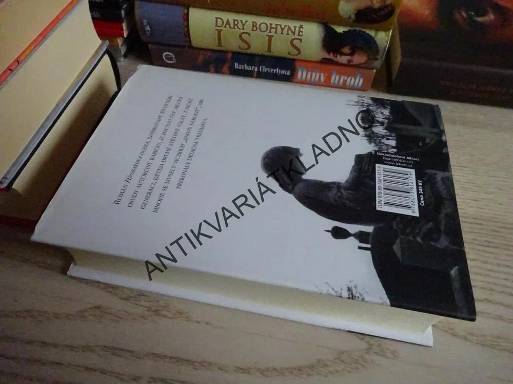 HROBAŘOVA DCERA, JOYCE CAROL OATESOVÁ, **an