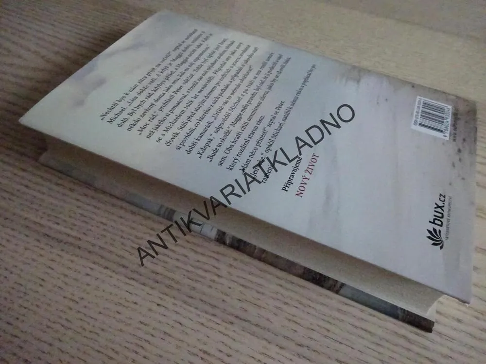MARNOTRATNÝ SYN, DANIELLE STEEL, **an