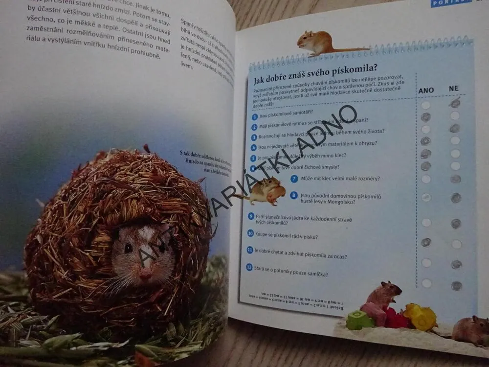 MŮJ PÍSKOMIL A JÁ, KÖTTER, STEIMEROVÁ, **an