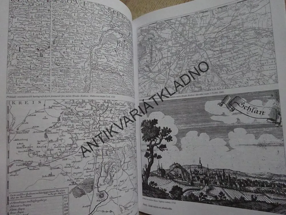 SLANÝ, ČESKÉ MĚSTO VE STŘEDOVĚKU, **an