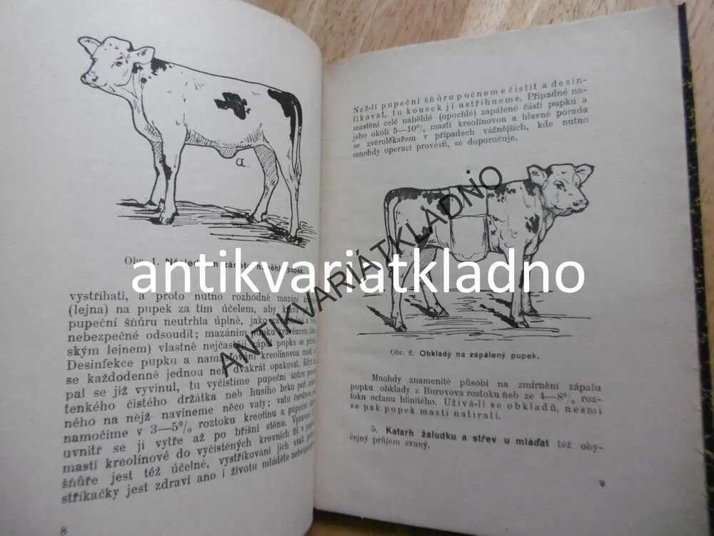 O NEMOCECH A VADÁCH MLÁĎAT, 1906, VETERINÁŘ