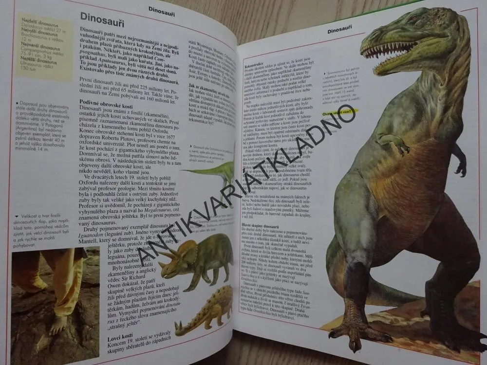 ZVÍŘATA A ROSTLINY, ŠKOLNÍ ENCYKLOPEDIE, **an