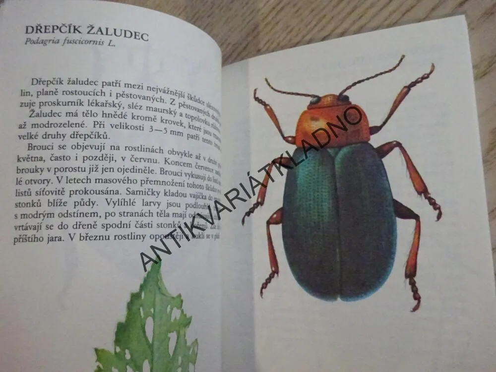 CHOROBY A ŠKŮDCI PĚSTOVANÝCH DRUHŮ LÉČIVÝCH ROSTLIN, **an