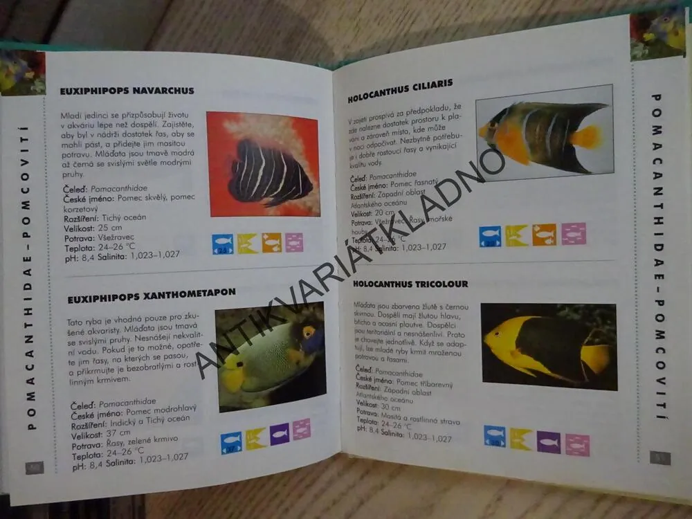 MOŘSKÉ AKVARIJNÍ RYBY, OBRAZOVÝ PRŮVODCE 4, **an