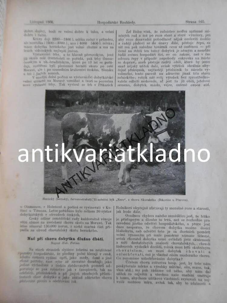 HOSPODÁŘSKÉ ROZHLEDY, ROČ.5, 1906, CHOVATELSTVÍ