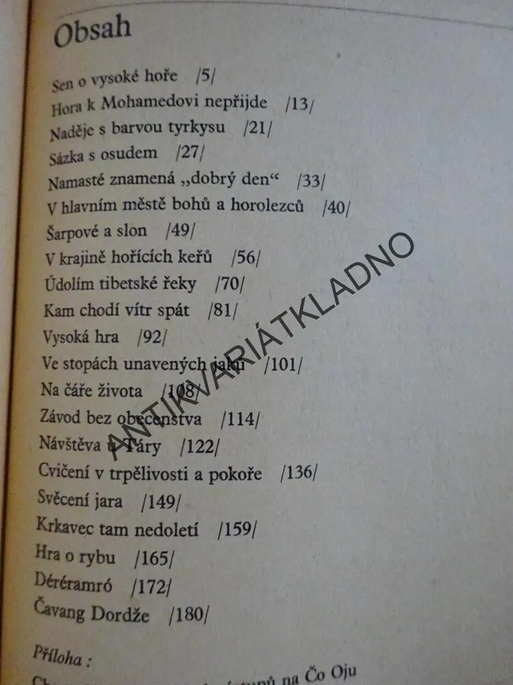 ČO OJU, TYRKYSOVÁ HORA, DINA ŠTĚRBOVÁ, **an