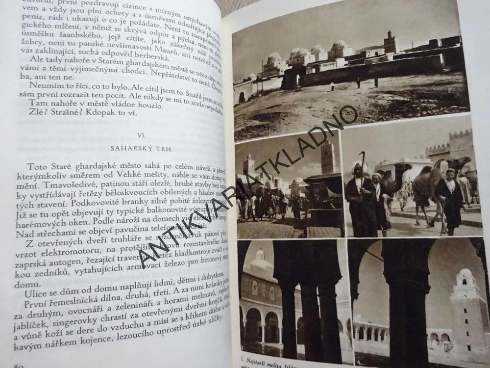 ZEMĚ ZADÁVENÁ ŽÍZNÍ, J. R. VÁVRA, **an