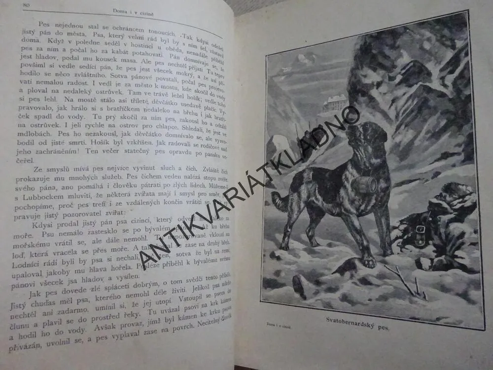 DOMA I V CIZINĚ, JAN DOLENSKÝ, **an