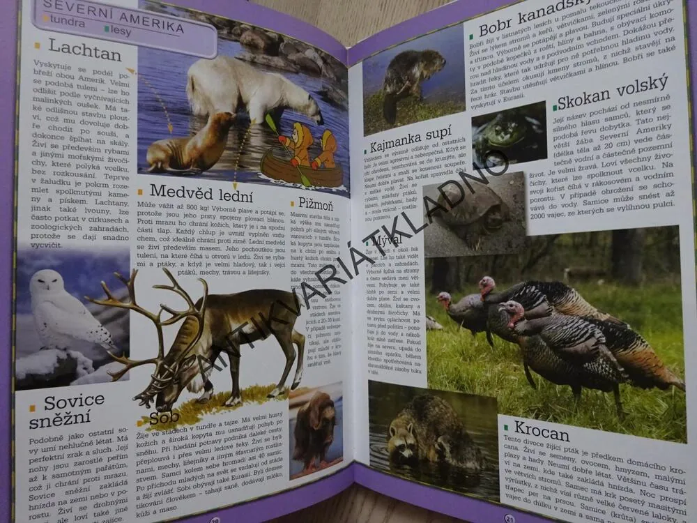 BOLEK A LOLEK, ATLAS ZVÍŘAT, **an