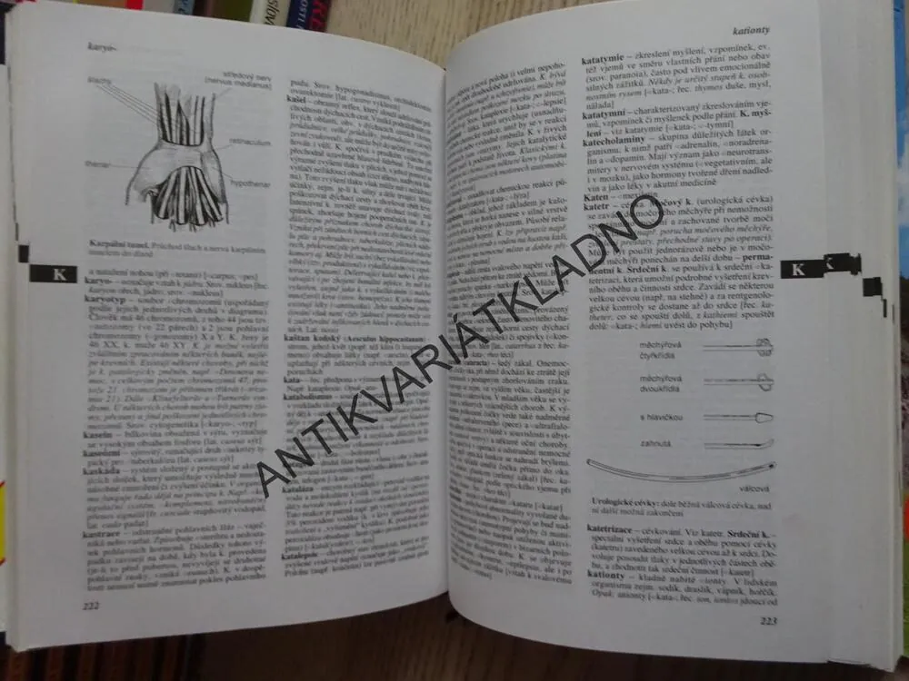 PRAKTICKÝ SLOVNÍK MEDICÍNY, **an