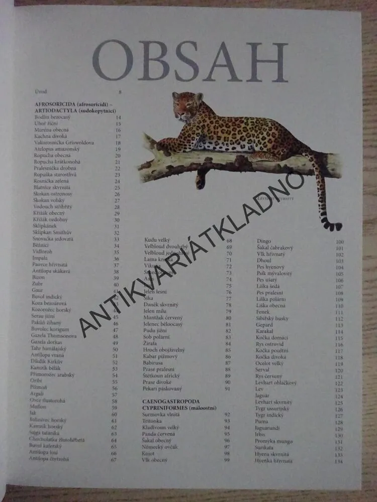 ZVÍŘATA, **an