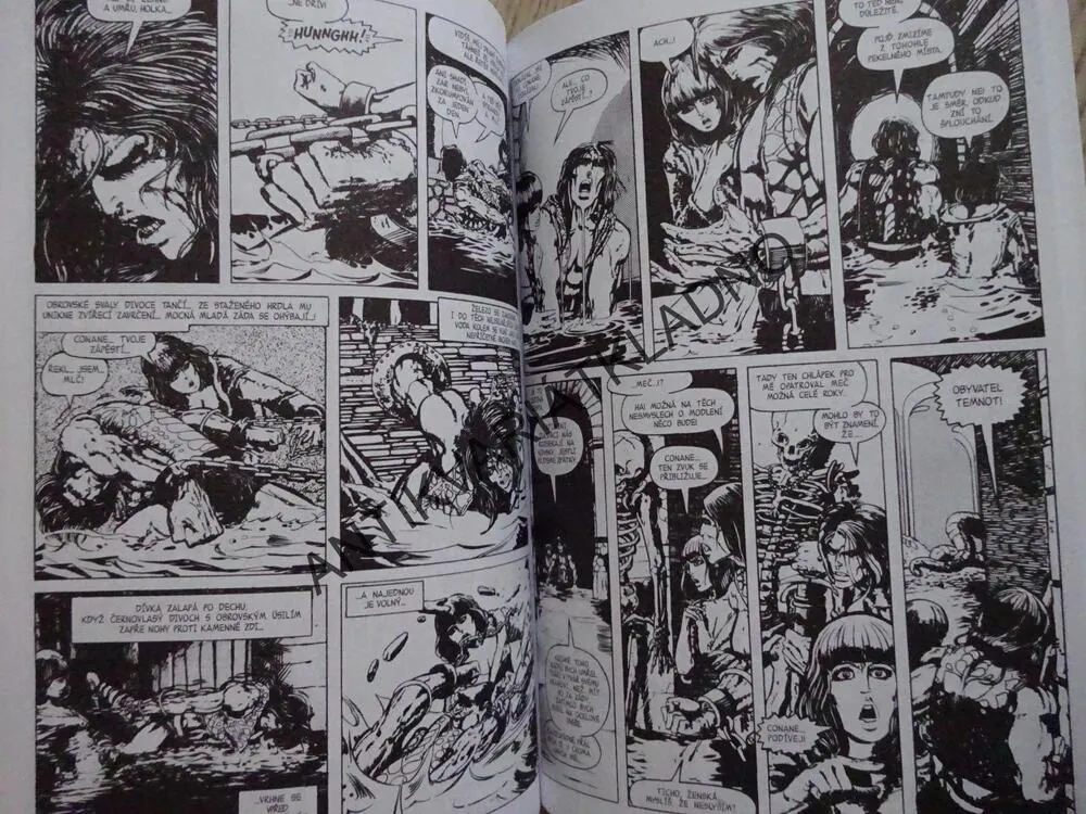 BARBAR CONAN (KNIHA 02), COMICSOVÉ LEGENDY 5, **an