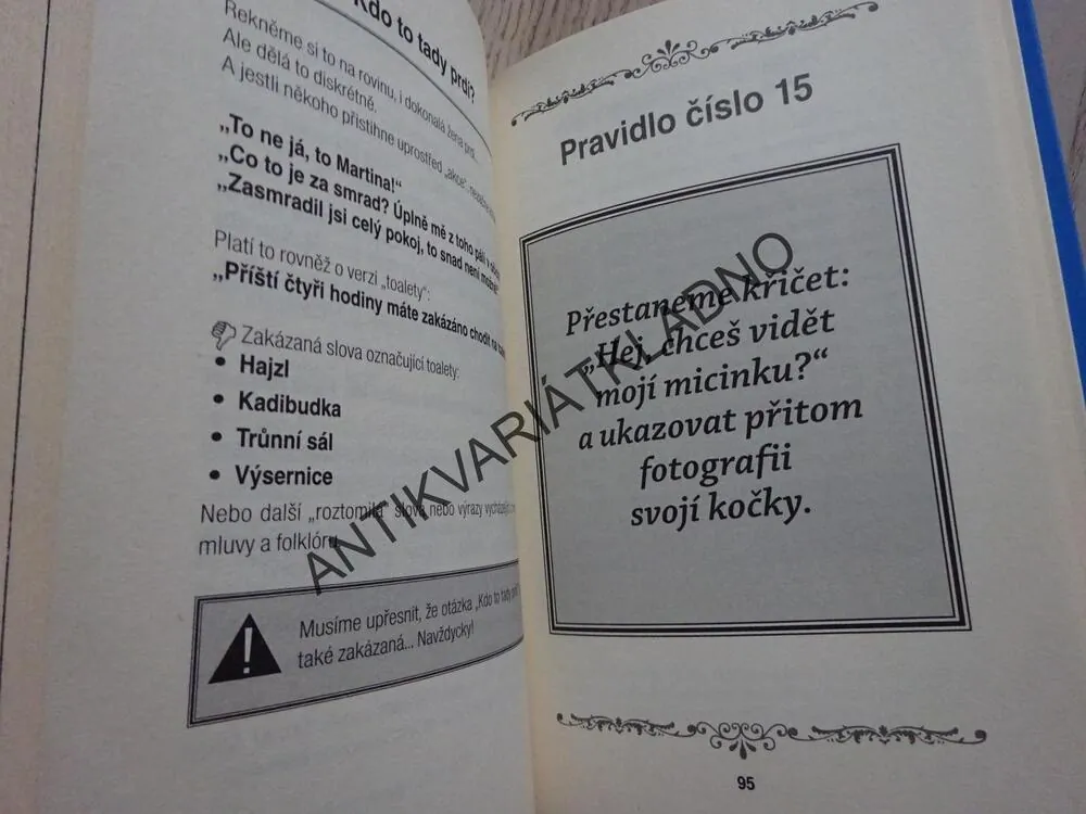 DOKONALÁ ŽENA JE BLBKA!, MARIE GIRARDOVÁ, ANNE GIRARDOVÁ, **an