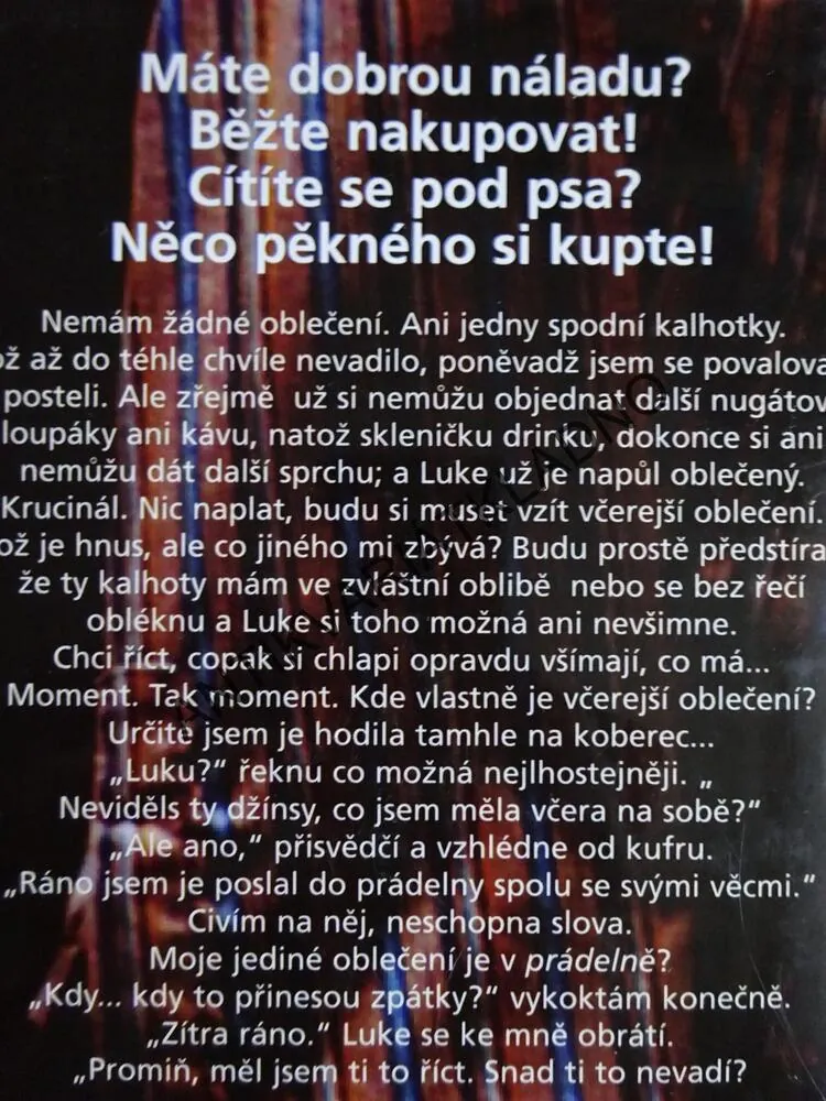 SHOPAHOLIK ZA HRANICEMI, SOPHIE KINSELLA, **an