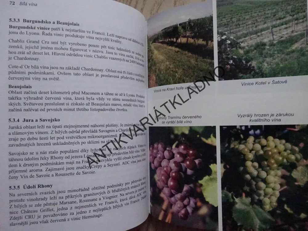 HLEDÁNÍ PRAVDY O VÍNĚ, BÍLÁ VÍNA, LIBOR ŠEVČÍK, **an