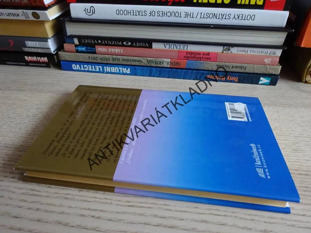 ZÁZRAK, DANIELLE STEELOVÁ, **an