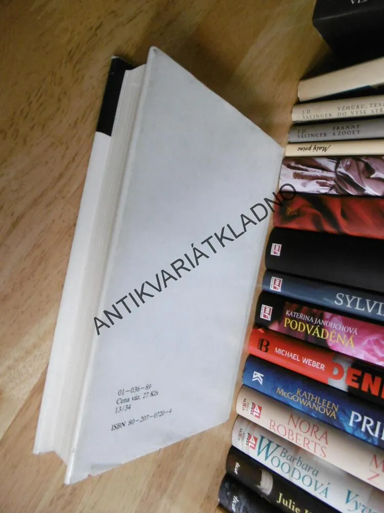 ZÁMEK, FRANZ KAFKA