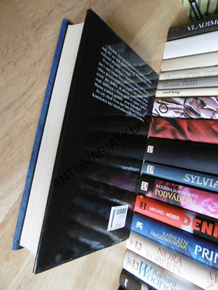 ROK VDOVOU, JOHN IRVING, **an