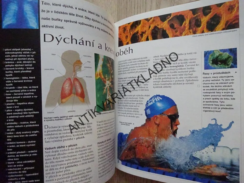 ŠKOLNÍ ENCYKLOPEDIE PRO MLÁDEŽ, LAROUSSE, LIDSKÉ TĚLO, **an