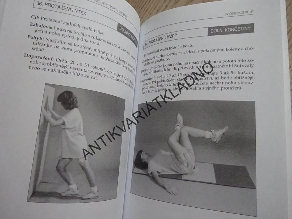 FIT PRO DVA, **an