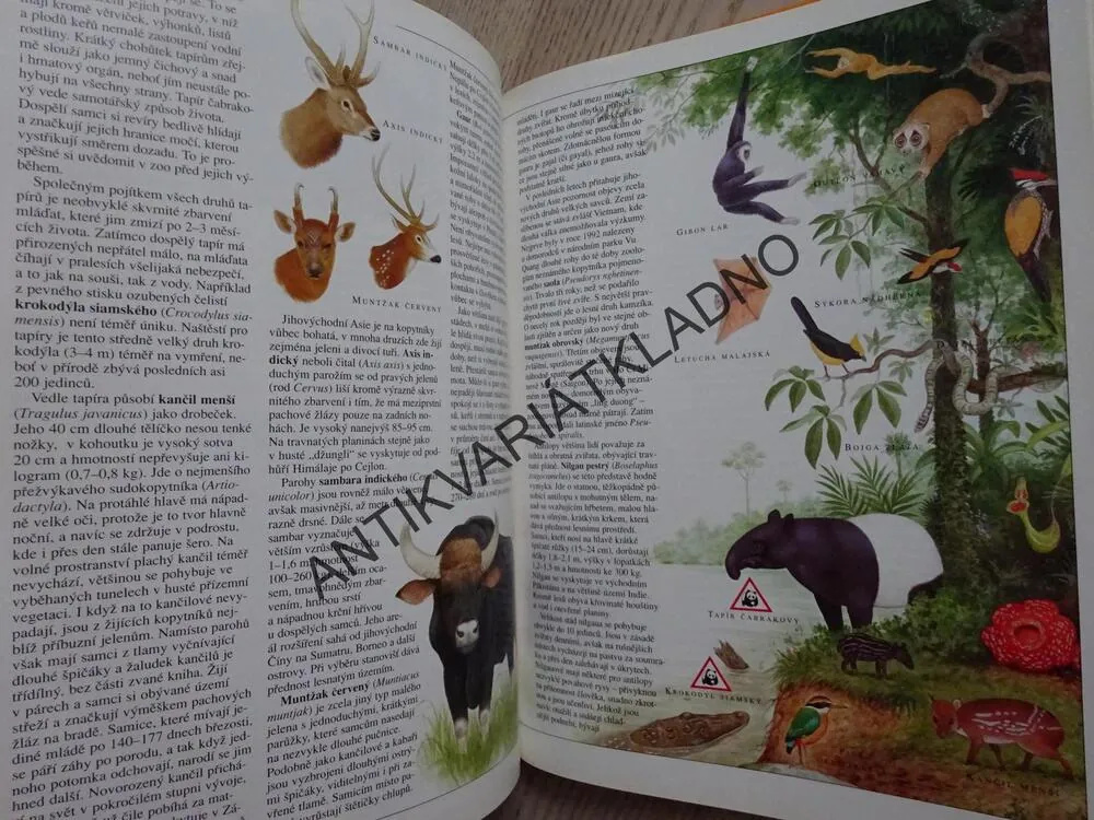 ZVÍŘATA ASIE, MILOŠ ANDĚRA, JIŘÍ POLÁK, **an
