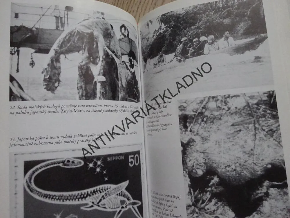 NÁVRAT DRAKŮ, HARTWIG HAUSDORF, **an