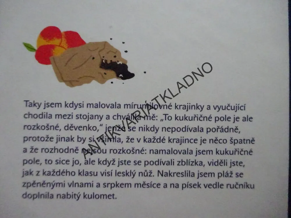 TVRDOHLAVÁ STVOŘENÍ, AIMEE BENDEROVÁ, **an