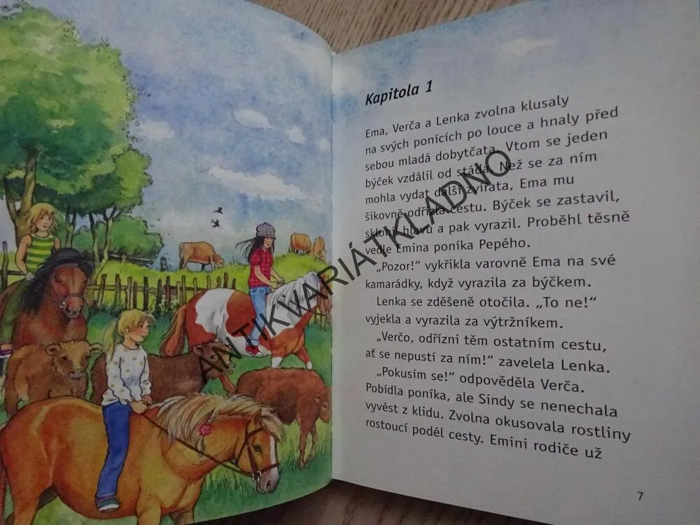SINDY V NEBEZPEČÍ, RUTH GELLERSENOVÁ, MELANIE BROCKAMPOVÁ, **an