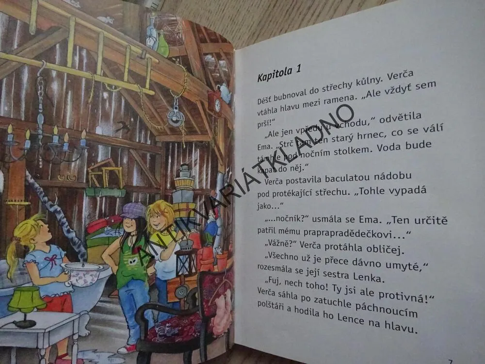 POKLAD V KŮLNĚ, RUTH GELLERSENOVÁ, MELANIE BROCKAMPOVÁ, **an