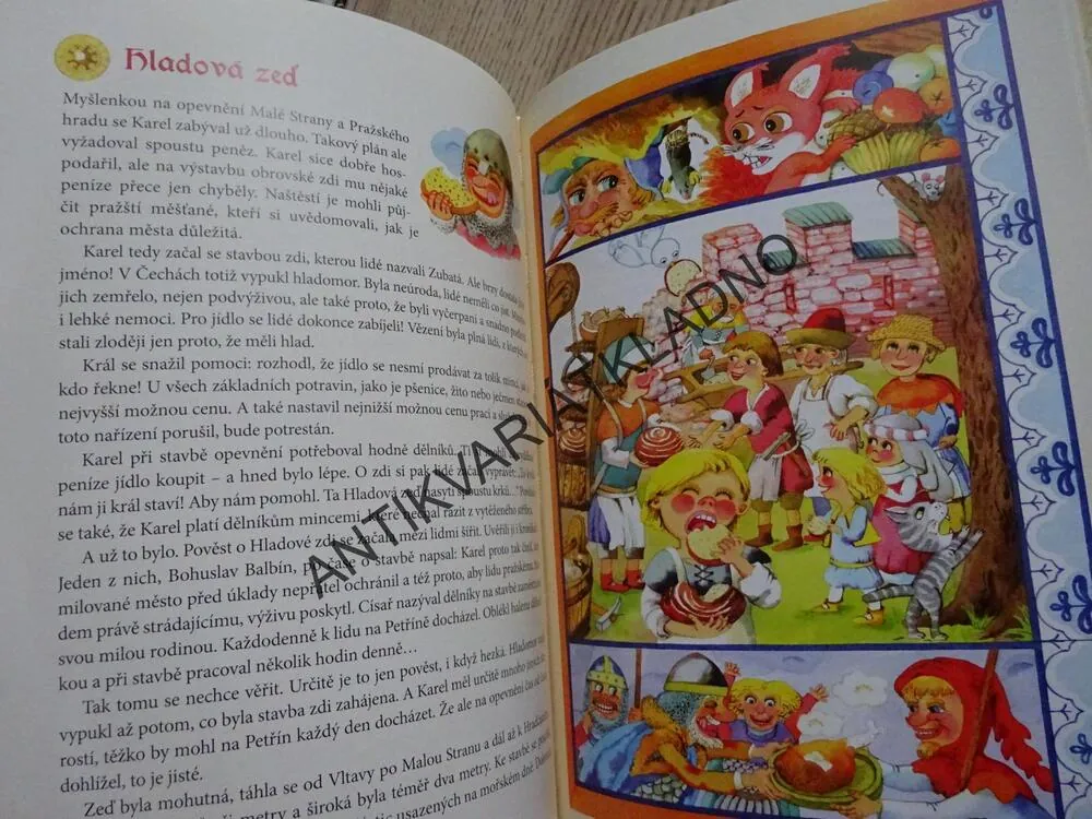 PŘÍBĚHY O KARLU IV., MARTINA DRIJVEROVÁ, **an