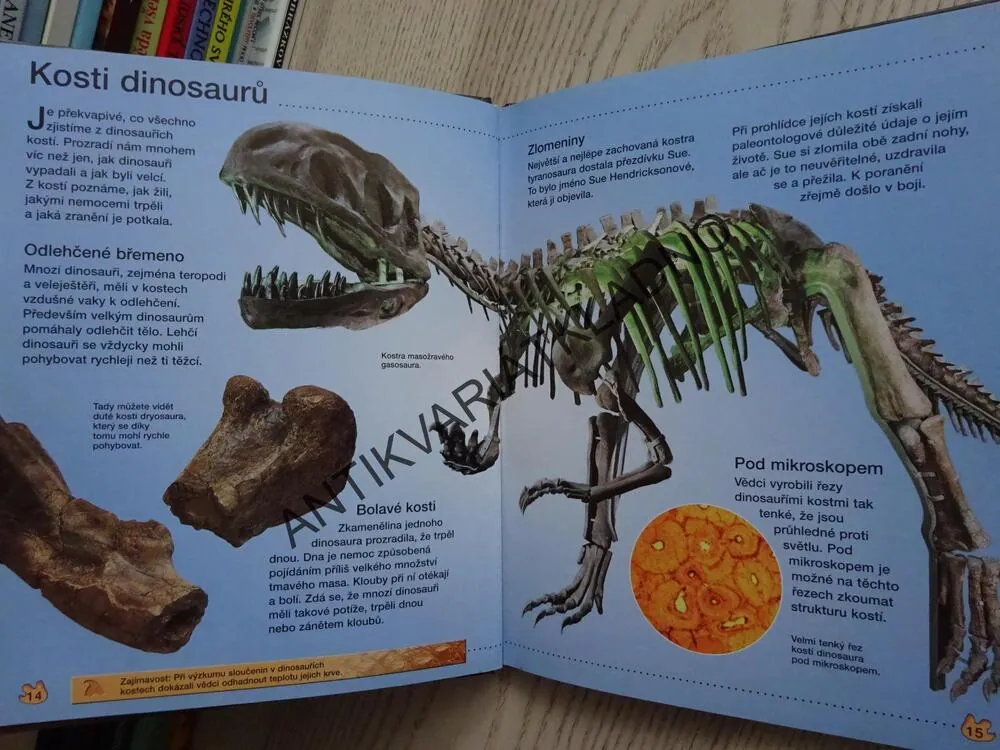 DINOSAUŘI, OBJEVUJTE S NÁMI, **an
