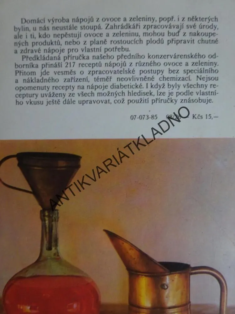OVOCNÉ A ZELENINOVÉ NÁPOJE, VLADIMÍR KOTT, **an