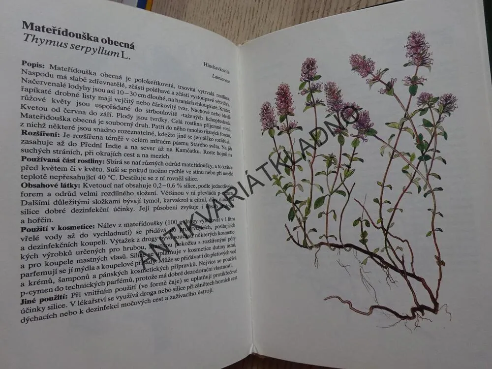 ROSTLINY V KOSMETICE, HLAVA, STARÝ, POSPÍŠIL, **an