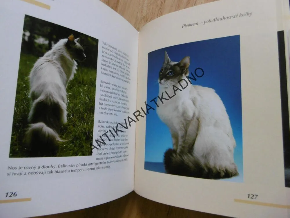 KOČKY, PÉČE PLEMENA ZDRAVÍ