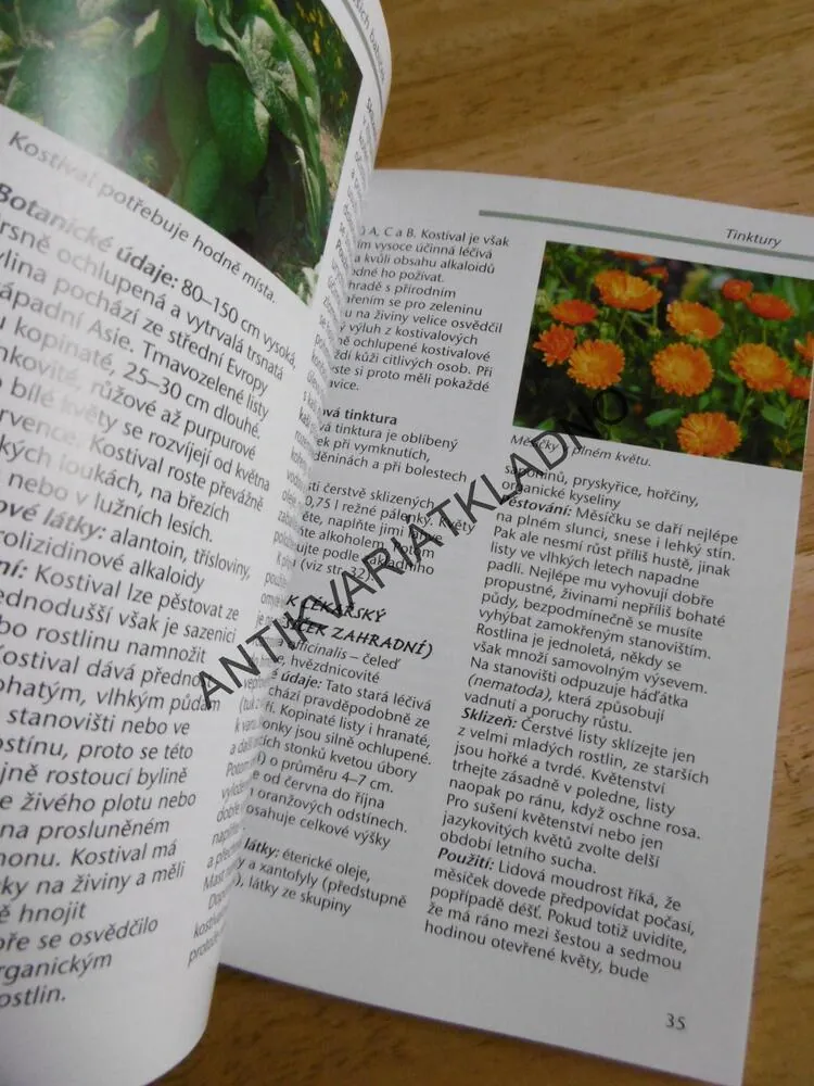 BYLINKOVÁ LÉKÁRNA, BABIČČIN RECEPTÁŘ